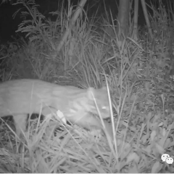 微信图片_20220104134705