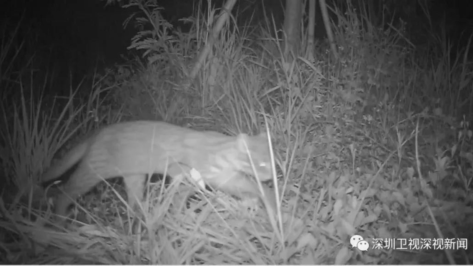 微信图片_20220104134705